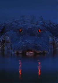 Fauna & Flora: Alligators at night by Larry Lynch