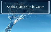 TopRq.com search results: interesting facts about water