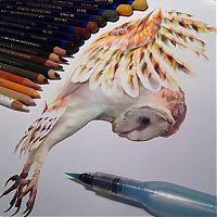 Art & Creativity: Photorealistic drawing illustrations and tools by Karla Mialynne