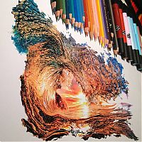 Art & Creativity: Photorealistic drawing illustrations and tools by Karla Mialynne