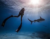 Art & Creativity: Underwater photography by Rava Ray