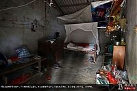 TopRq.com search results: 6-year-old boy lives alone, China