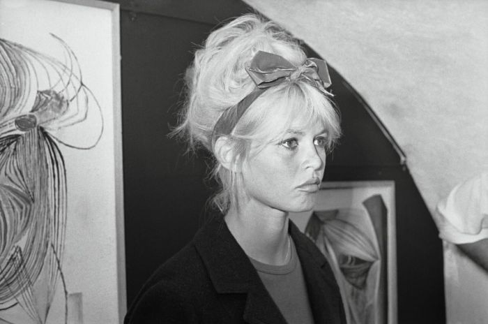 Life of Brigitte Anne-Marie Bardot