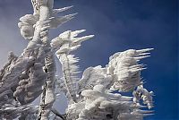 World & Travel: Extreme windswept ice formations by Marko Korošec, Mount Javornik, Dinarides, Slovenia