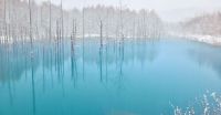 World & Travel: Aoiike, Blue Pond, Biei, Shirogane Onsen, Kamikawa (Ishikari) District, Hokkaido, Japan
