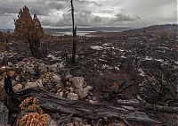 World & Travel: Tasmania island fire, Commonwealth of Australia, South Pacific Ocean