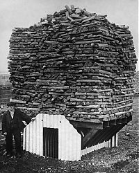 History: World War II photography, Anderson shelter