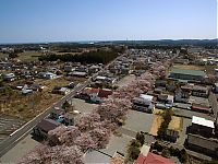TopRq.com search results: Namie, Futaba District, Fukushima Prefecture, Japan
