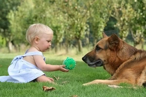 children with animals