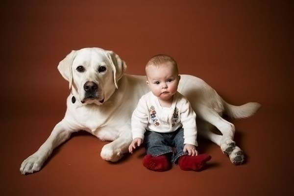 children with animals