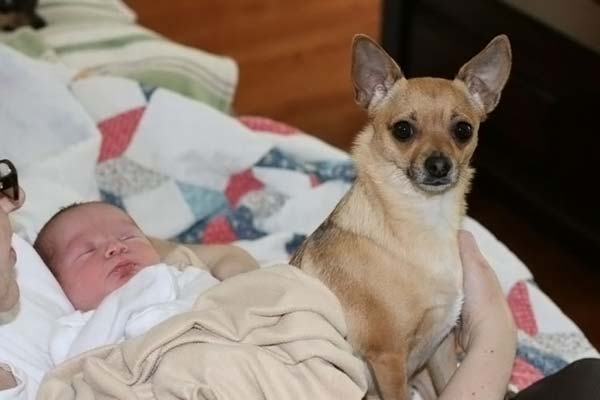 children with animals