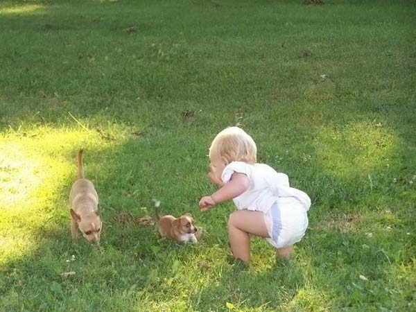 children with animals