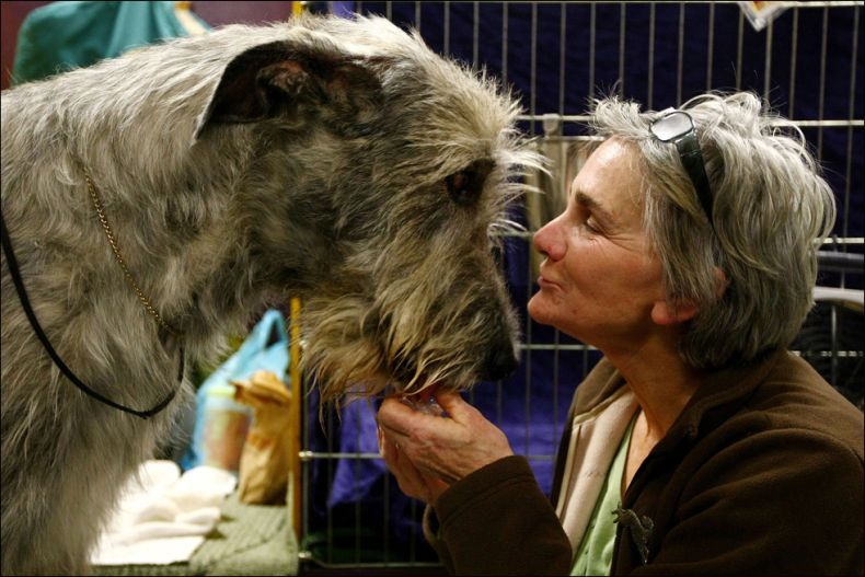 Westminster Kennel Club Dog Show