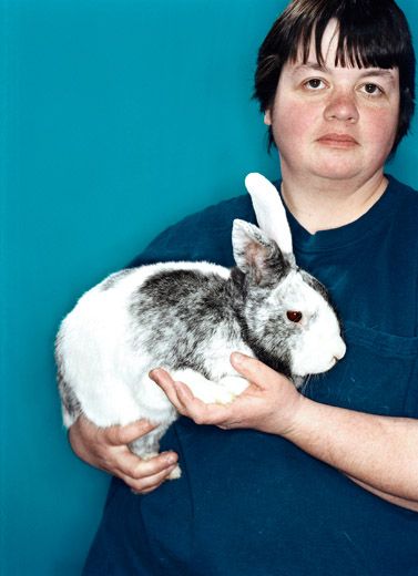 rabbit - lord of ears