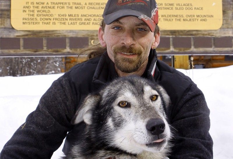 sledding dogs