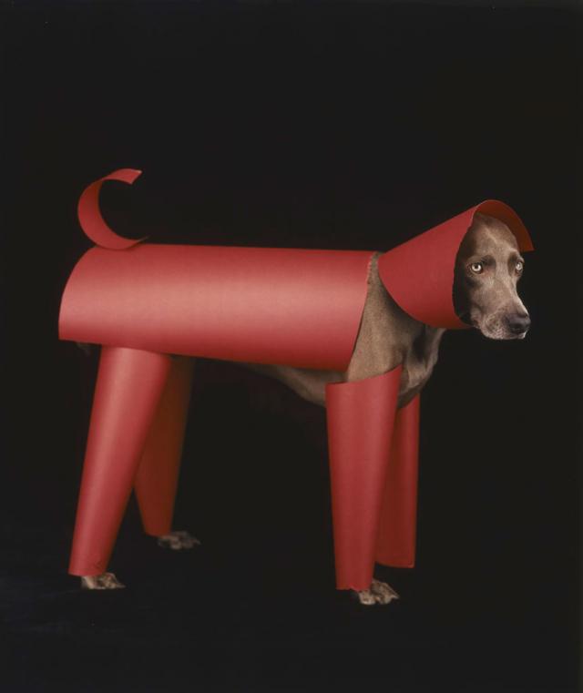 William Wegman photos of dogs