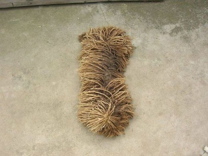 Mysterious mop