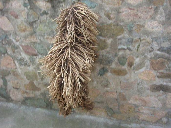 Mysterious mop