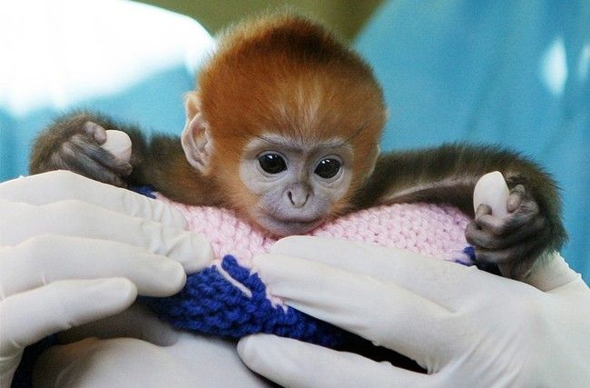 Beautiful photos of the animals in the ZOO