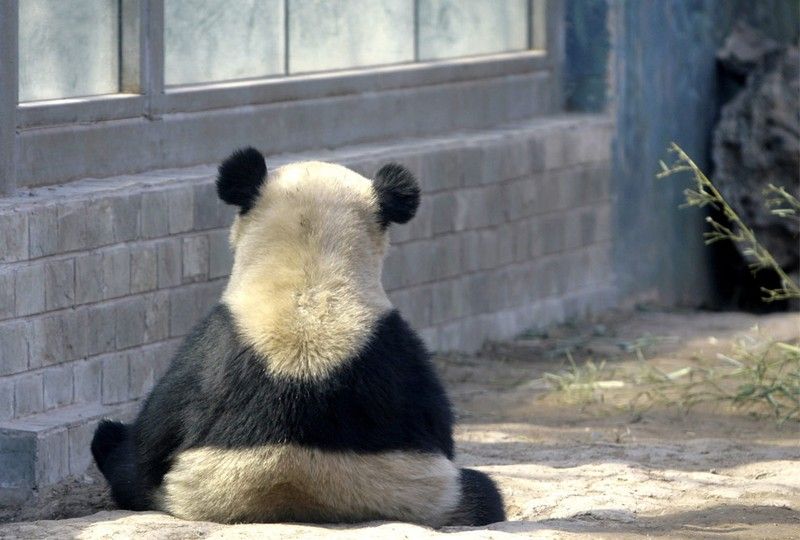 Beautiful photos of the animals in the ZOO