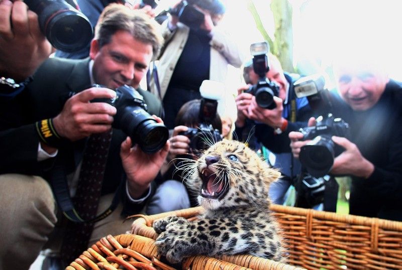 Beautiful photos of the animals in the ZOO