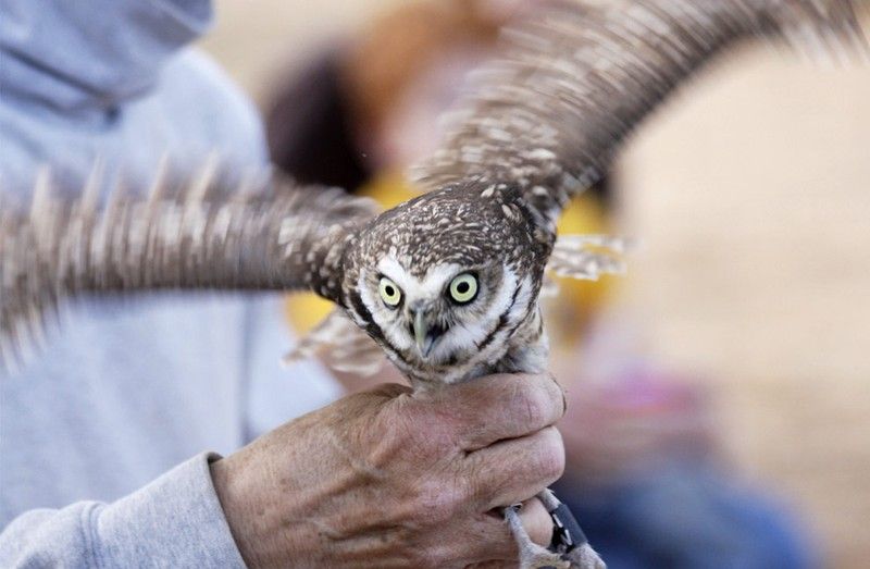 Beautiful photos of the animals in the ZOO