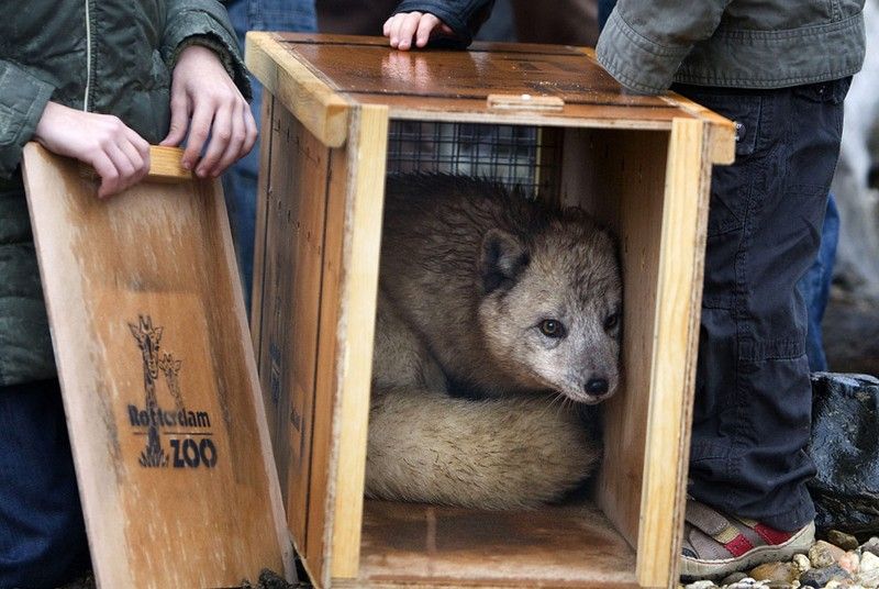 Beautiful photos of the animals in the ZOO