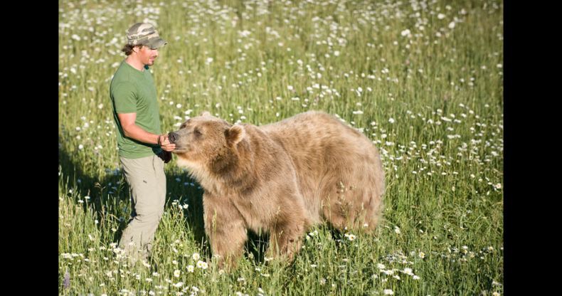 Biologist Casey Anderson, and his bear Butusov