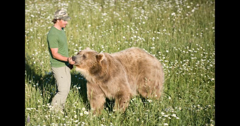 Biologist Casey Anderson, and his bear Butusov