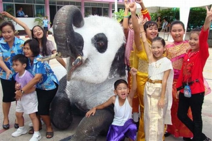 Panda elephants in Thailand