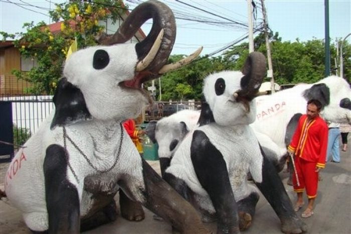 Panda elephants in Thailand