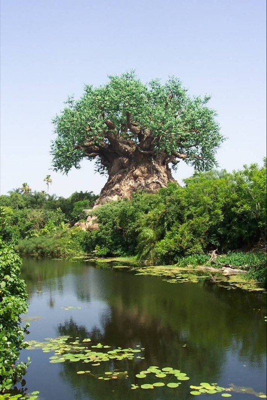 trees statues
