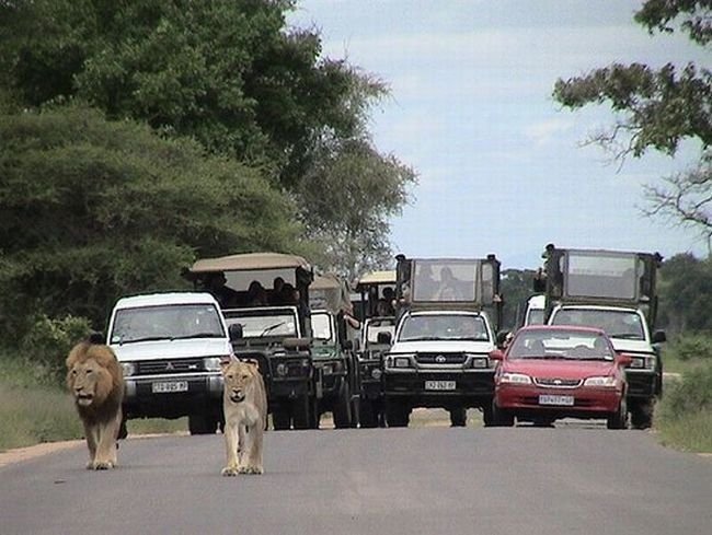 Kruger National Park, South Africa