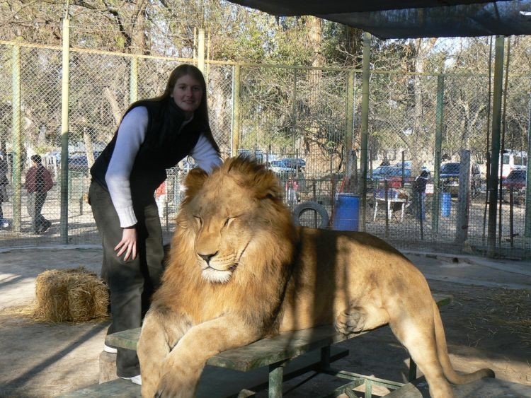 In ZOO with predators, Argentina