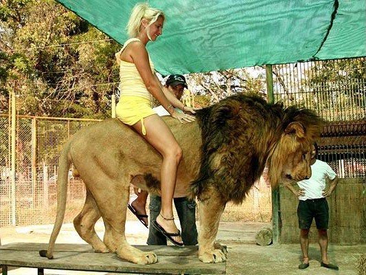 In ZOO with predators, Argentina