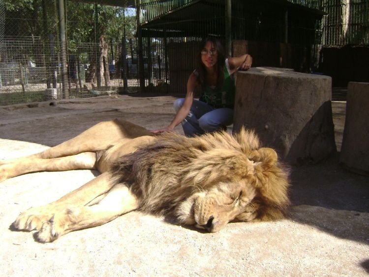 In ZOO with predators, Argentina
