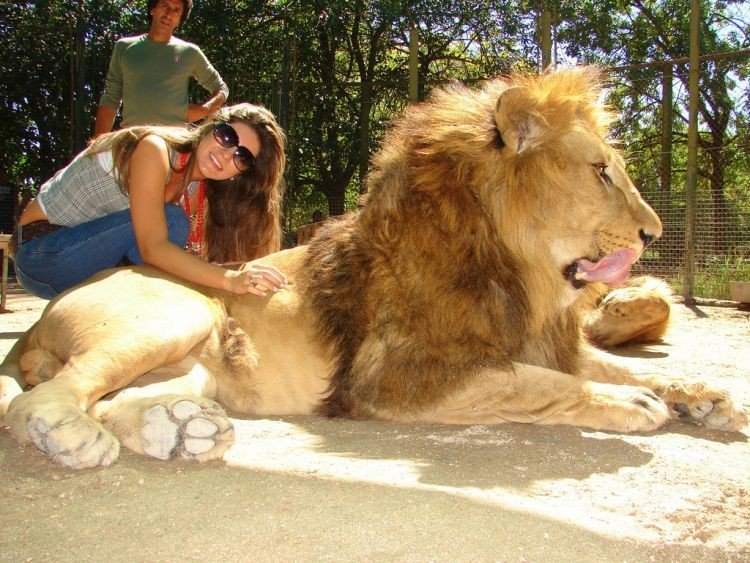 In ZOO with predators, Argentina
