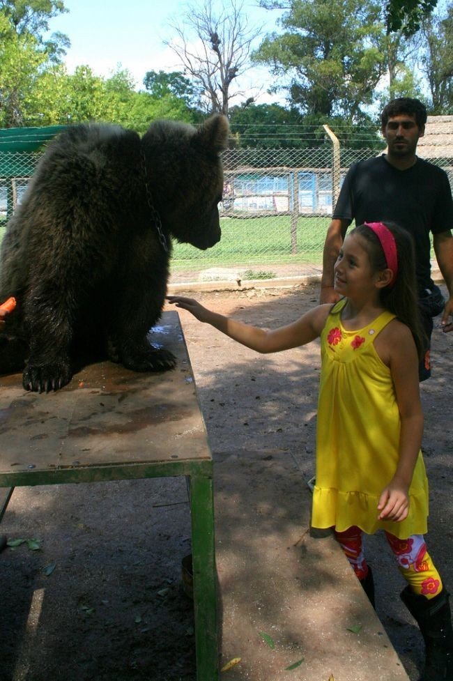 In ZOO with predators, Argentina