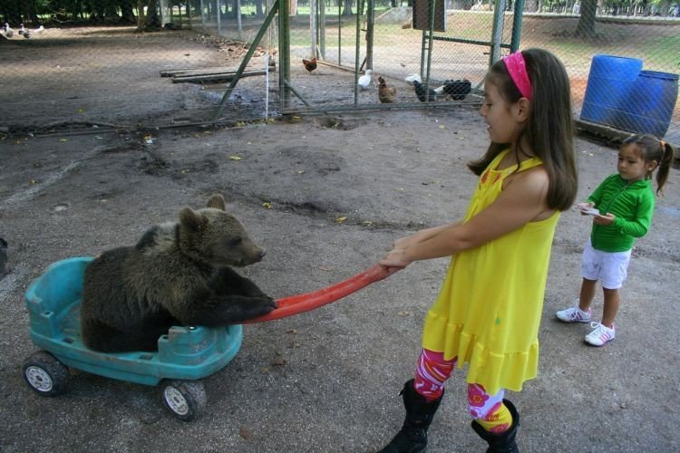 In ZOO with predators, Argentina