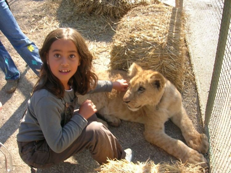 In ZOO with predators, Argentina