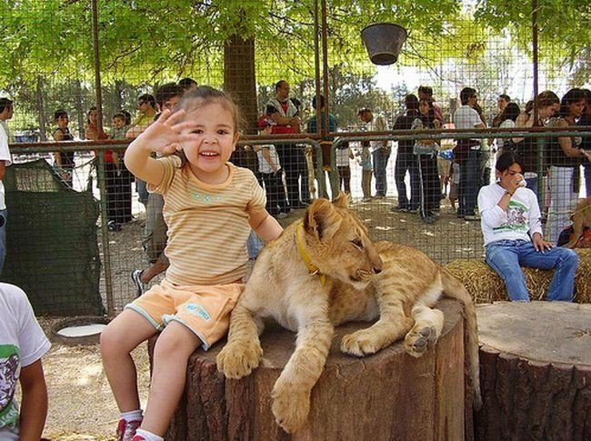 In ZOO with predators, Argentina