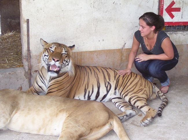 In ZOO with predators, Argentina