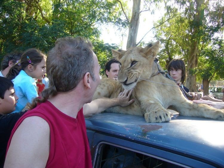 In ZOO with predators, Argentina