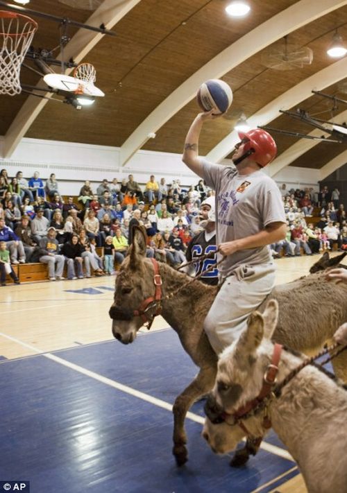 Donkey basketball, United States