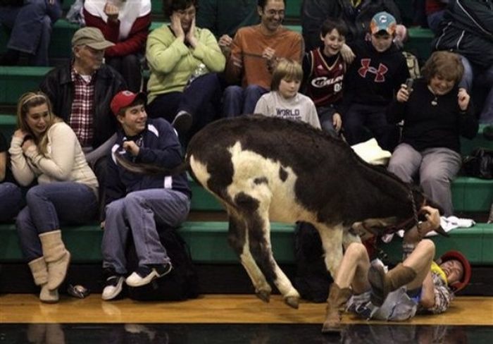 Donkey basketball, United States