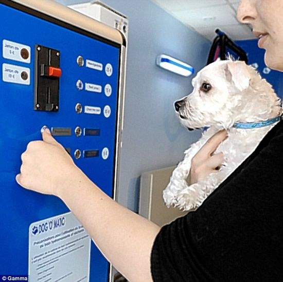 washing machine for domestic animals