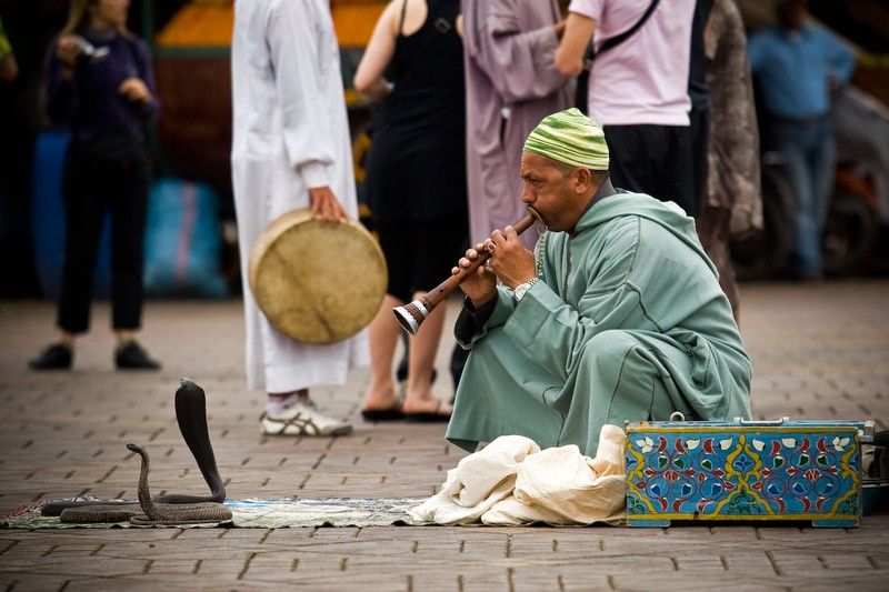 Snake magician, Morocco, Marrakech