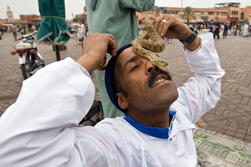 Snake magician, Morocco, Marrakech