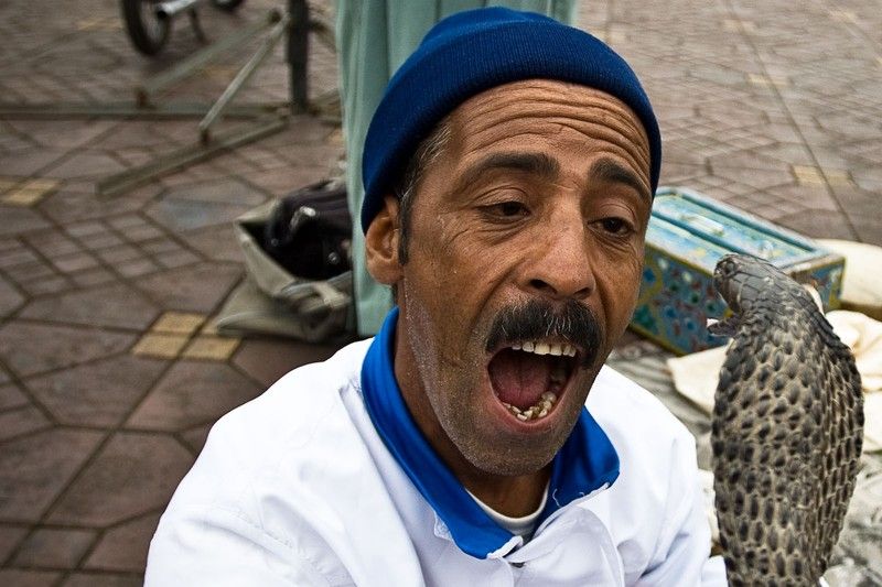 Snake magician, Morocco, Marrakech