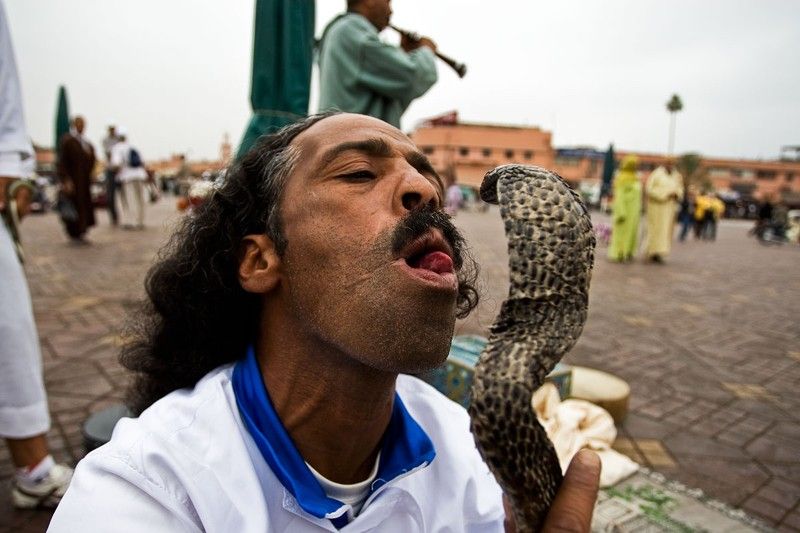 Snake magician, Morocco, Marrakech